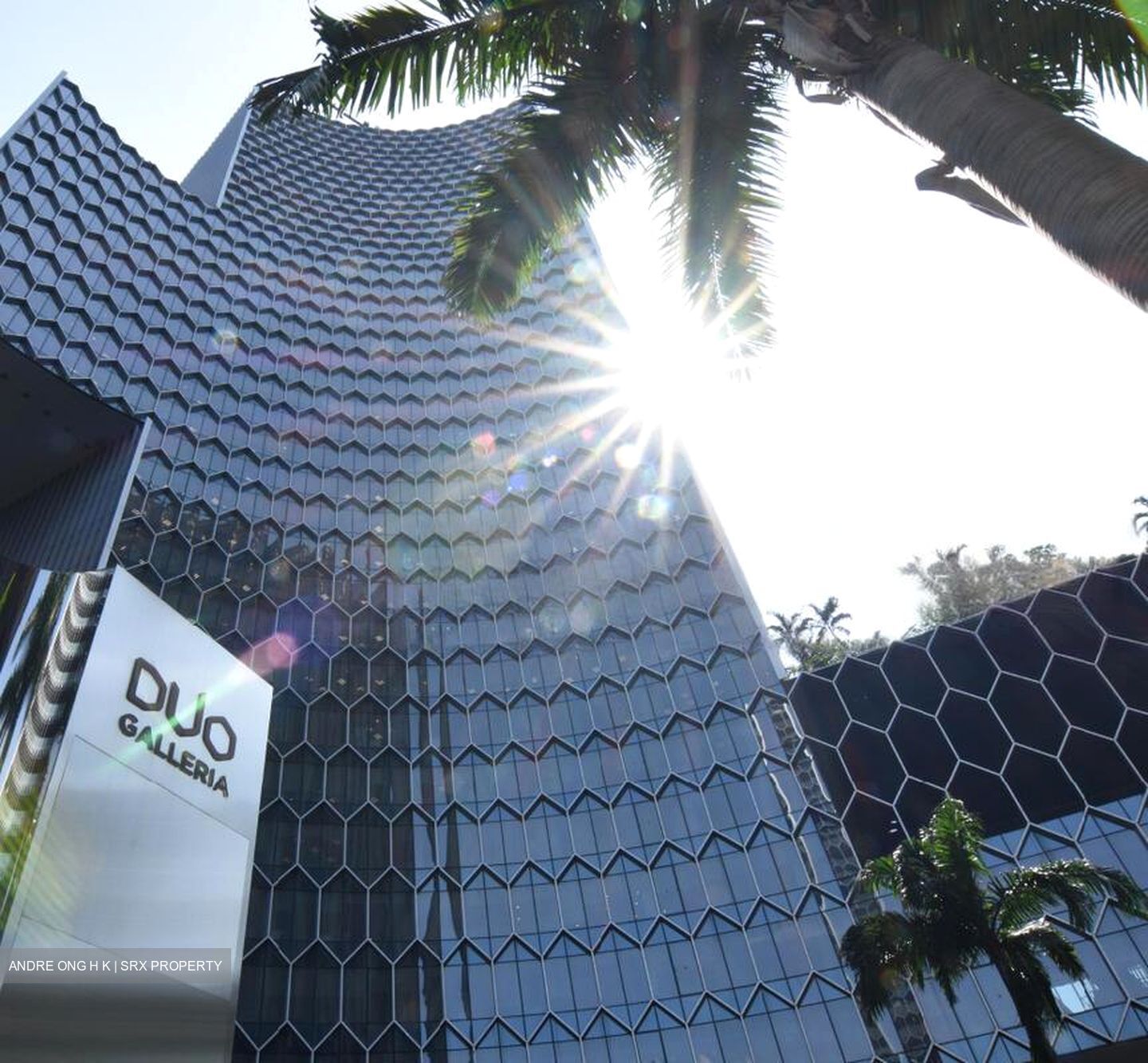 Duo Tower (D7), Office #469281991